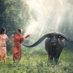 Les animaux symboliques du Vietnam