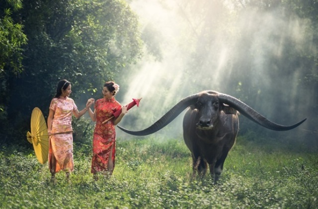 Les animaux symboliques du Vietnam