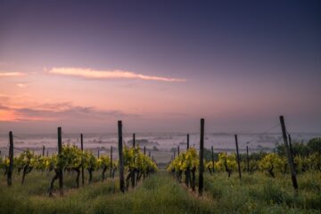 Séjour en Bourgogne